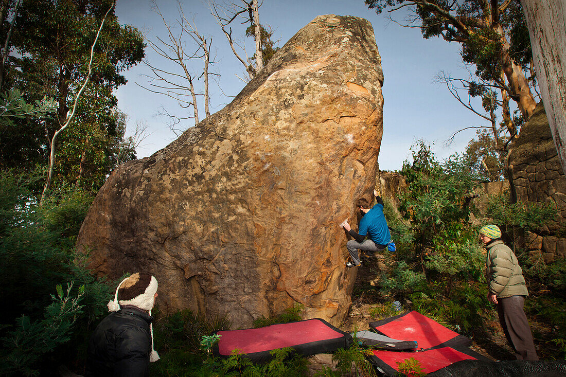 Adult male climber pulls onto a difficult boulder problem in Tasmania, Australia Tasmania, Australia