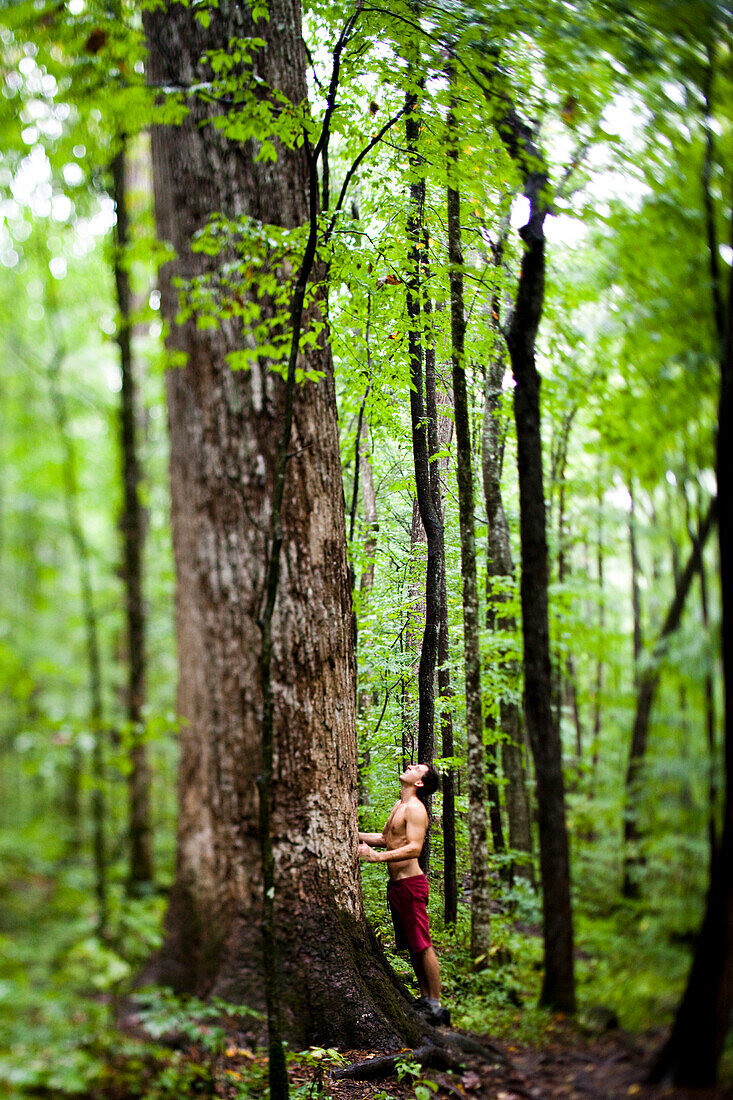 A man without a shirt on looks up to a towering tree while trail running in a thick, green forest North Carolina, USA