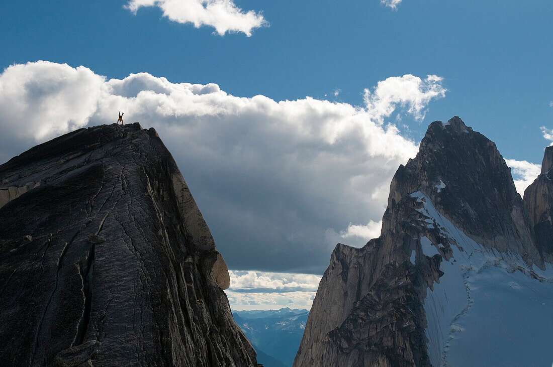 Tiny man doing a handstand on summit, Bugaboo Provincial Park, Radium, British Columbia, Canada Radium, British Columbia, Canada