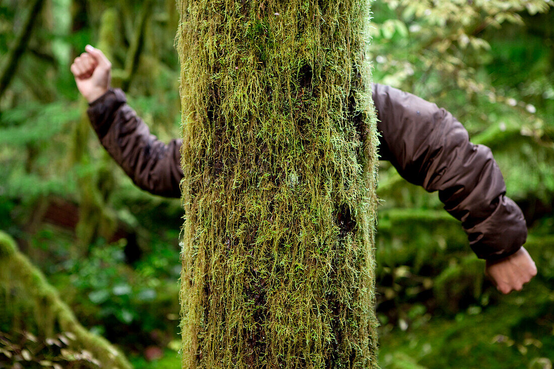 Mossy tree with a mans arms Port Angeles, Washington, USA