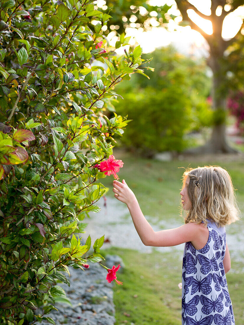 girl reaches for flower, anguilla
