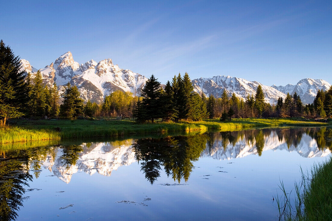 The Tetons reflect in Schwabacher's Landing in Grand Teton National Park, Wyoming Grand Teton National Park, Wyoming, USA