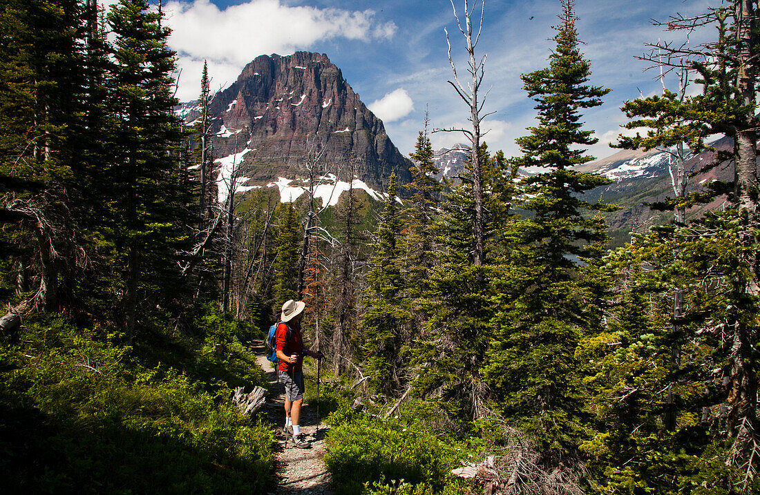 An older man hikes on a trail on a blue sky day Montana, USA