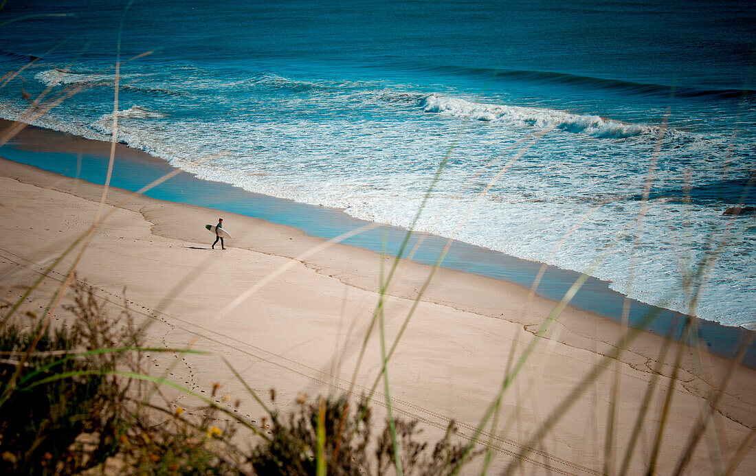 A surfer walks a beach USA