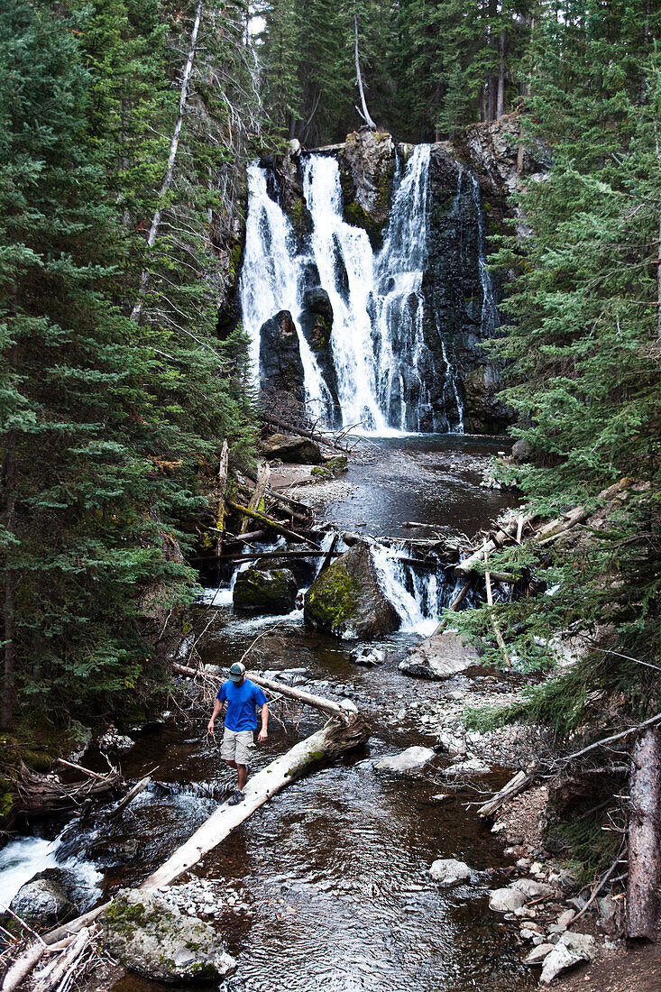 A athletic man hiking walks across a fallen log next to a waterfall in Montana., Bozeman, Montana, USA