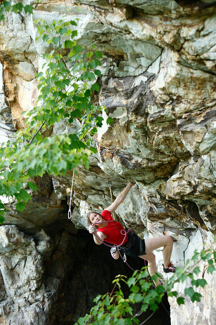 Female rock climber on a steep sandstone wall, Fayetteville, WV, USA