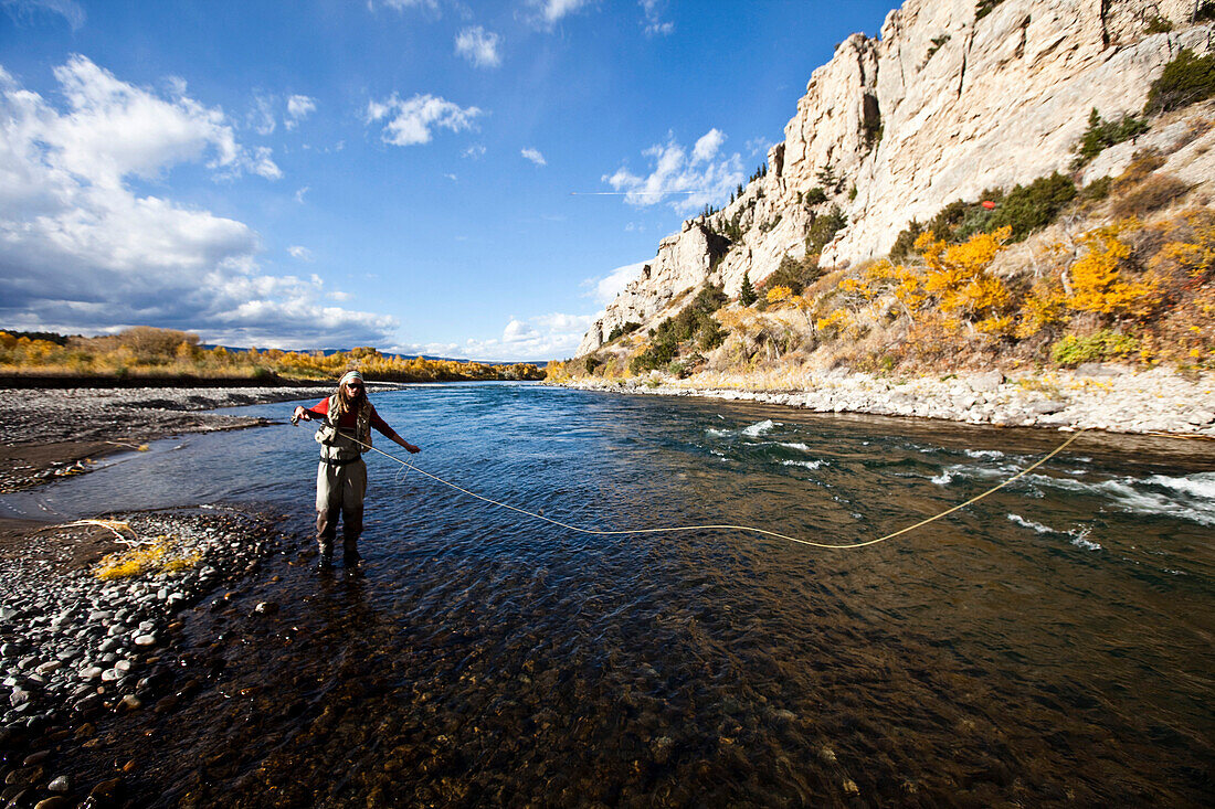 A athletic man fly fishing stands in a river with the fall colors and snowy mountains behind him., Bozeman, Montana, USA