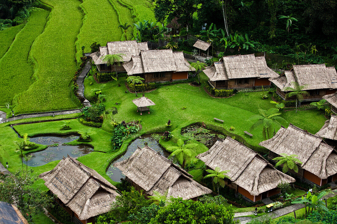A beautiful group of private bungalows surrounded by lush rice fields in Bali, Indonesia., Bali, Indonesia