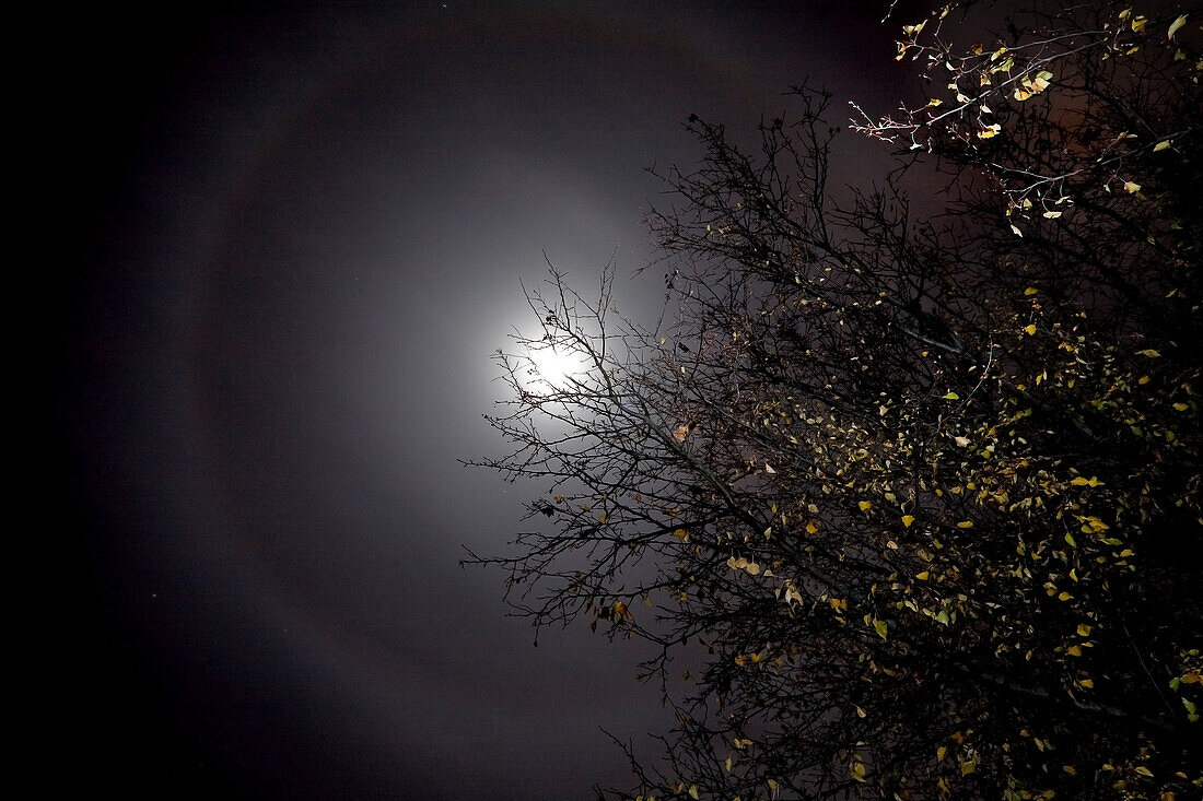 Lunar halo., Louisville, KY, United States