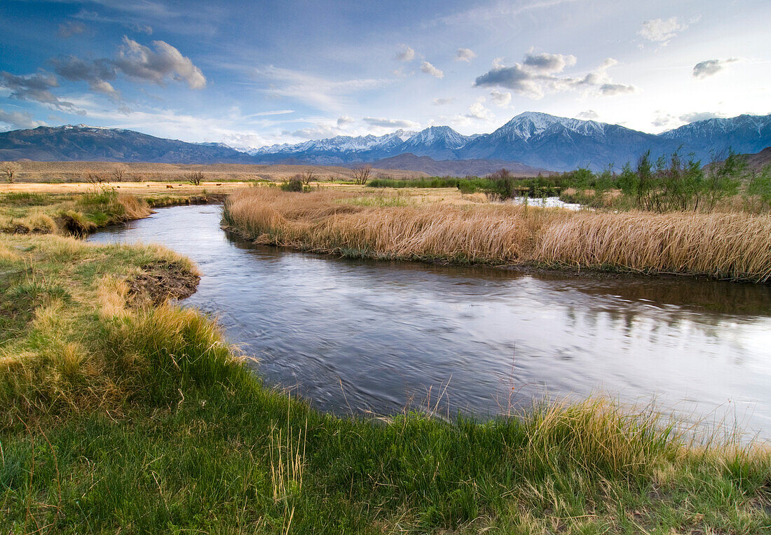 The Owens River winds through a field with the Eastern Sierra mountain range in the background near Bishop, CA., Bishop, California, USA