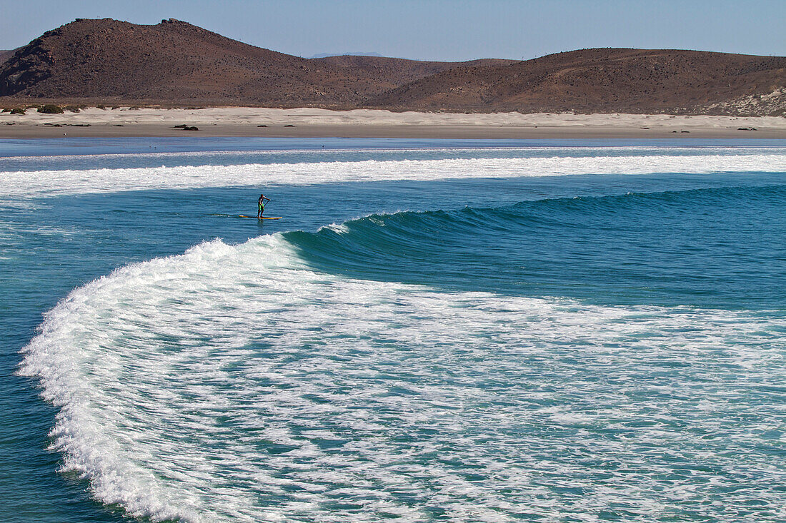 A male paddles out into the water on the Baja Peninsula. Mexico, Baja, Mexico