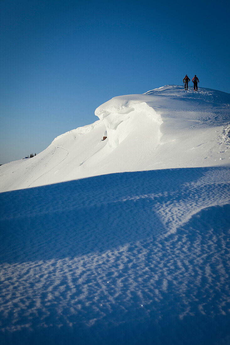 Silhouettes of two people backcountry skiing up a mountain at sunrise in purple light., Park City, Utah, USA