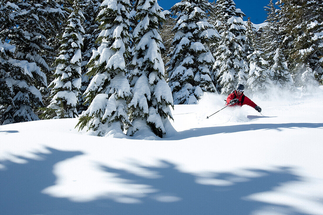 One skier making a hard turn in fresh powder., South Lake Tahoe, California, USA