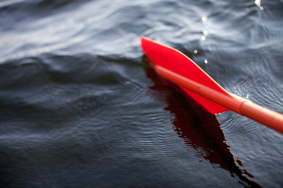 An orange paddle dips into the calm waters of Acadia National Park near Bar Harbor, Maine., Bar Harbor, Maine, USA