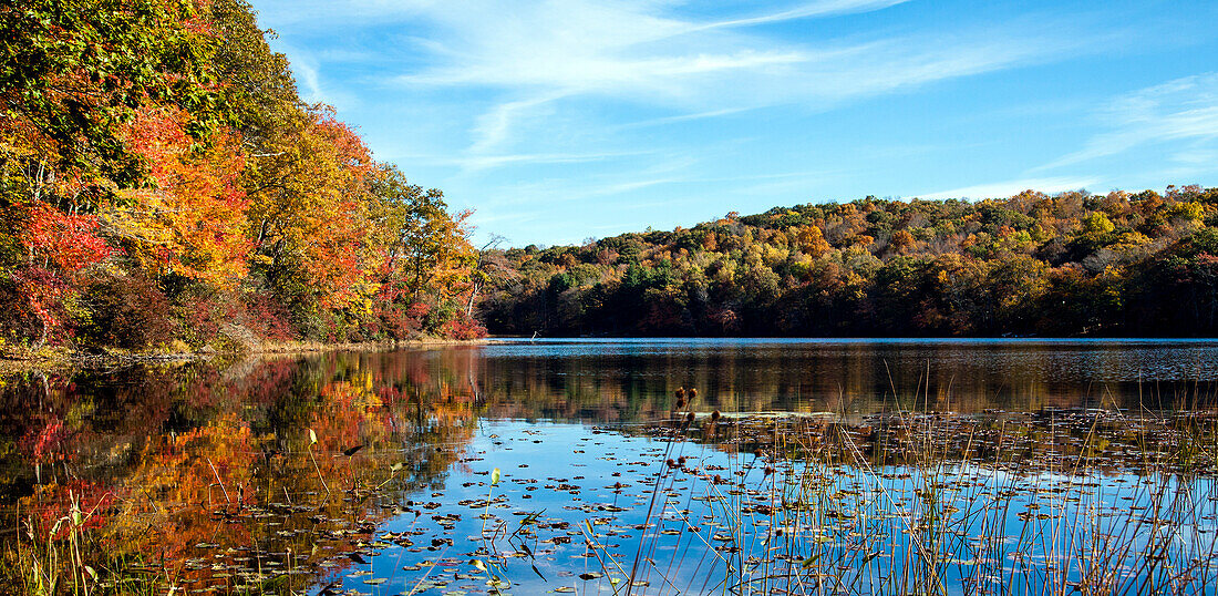Fall foliage at Norwich Pond, Nehantic State Forest in Connecticut., Lyme, CT, USA