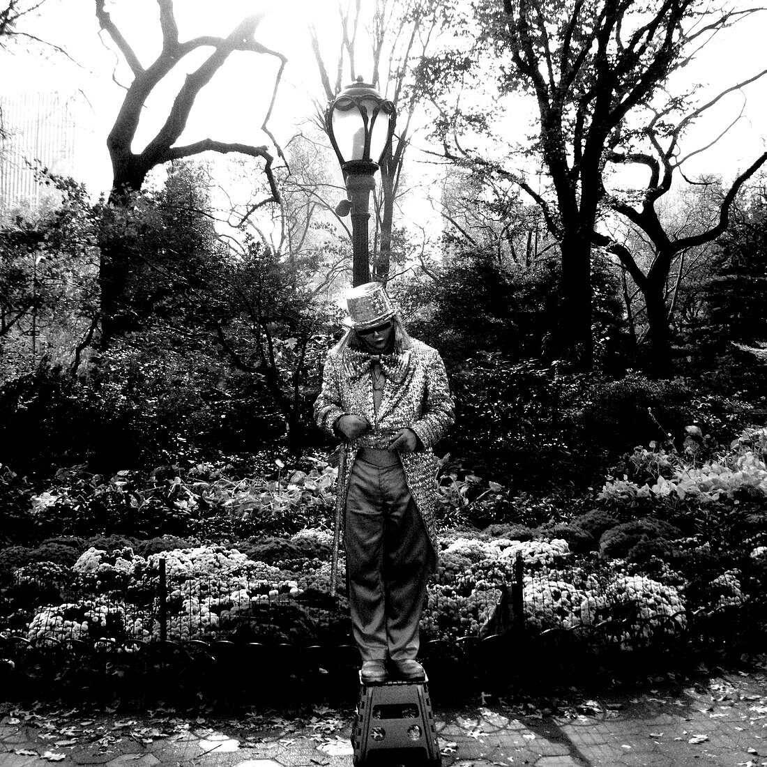 A street mime in the park in NYC., New York City, NY, USA