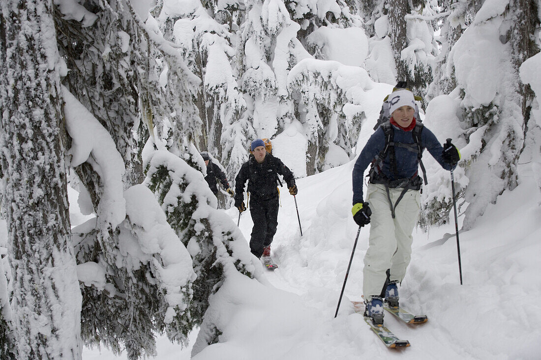 Young adults ski-tour through forest, Rogers Pass, British Columbia, Canada