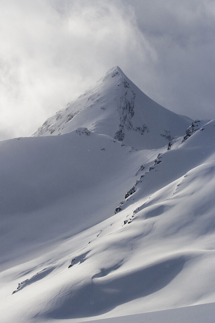 view of untracked mountain slope, Rogers Pass, British Columbia, Canada