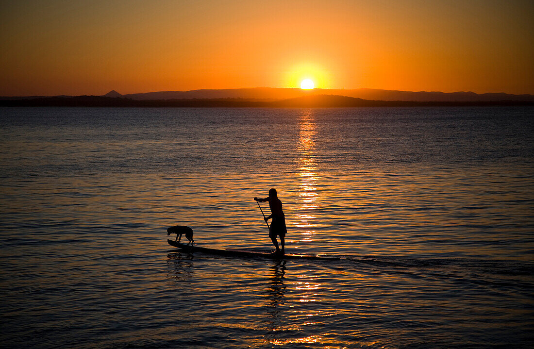 Surfer and dog on stand up paddle board, Australia, Noosa Heads, Queensland, Australia