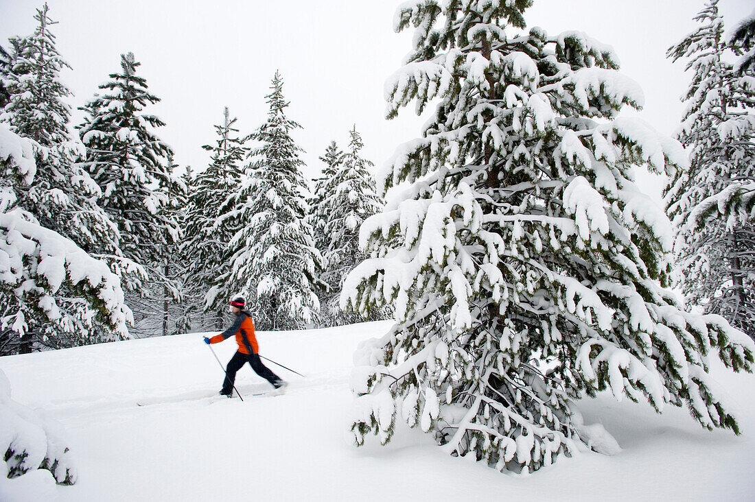 One young woman cross country ski's on a trail in the snow in Bend, Oregon (blurred motion) Bend, Oregon, U.S.A.