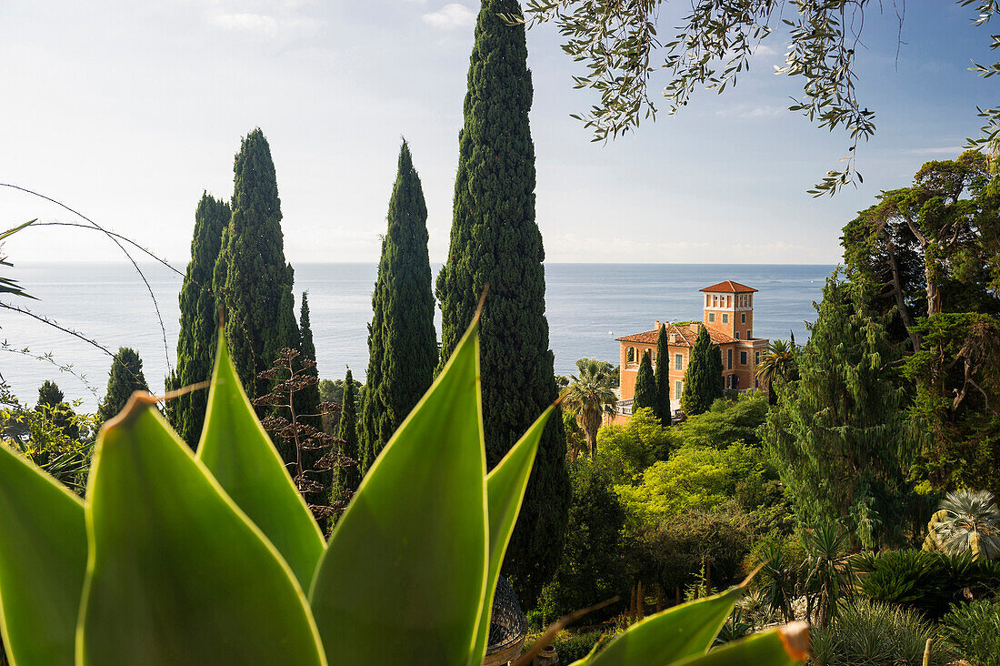 Botanischer Garten Hanbury, Ventimiglia, Provinz Imperia, Ligurien, Italien