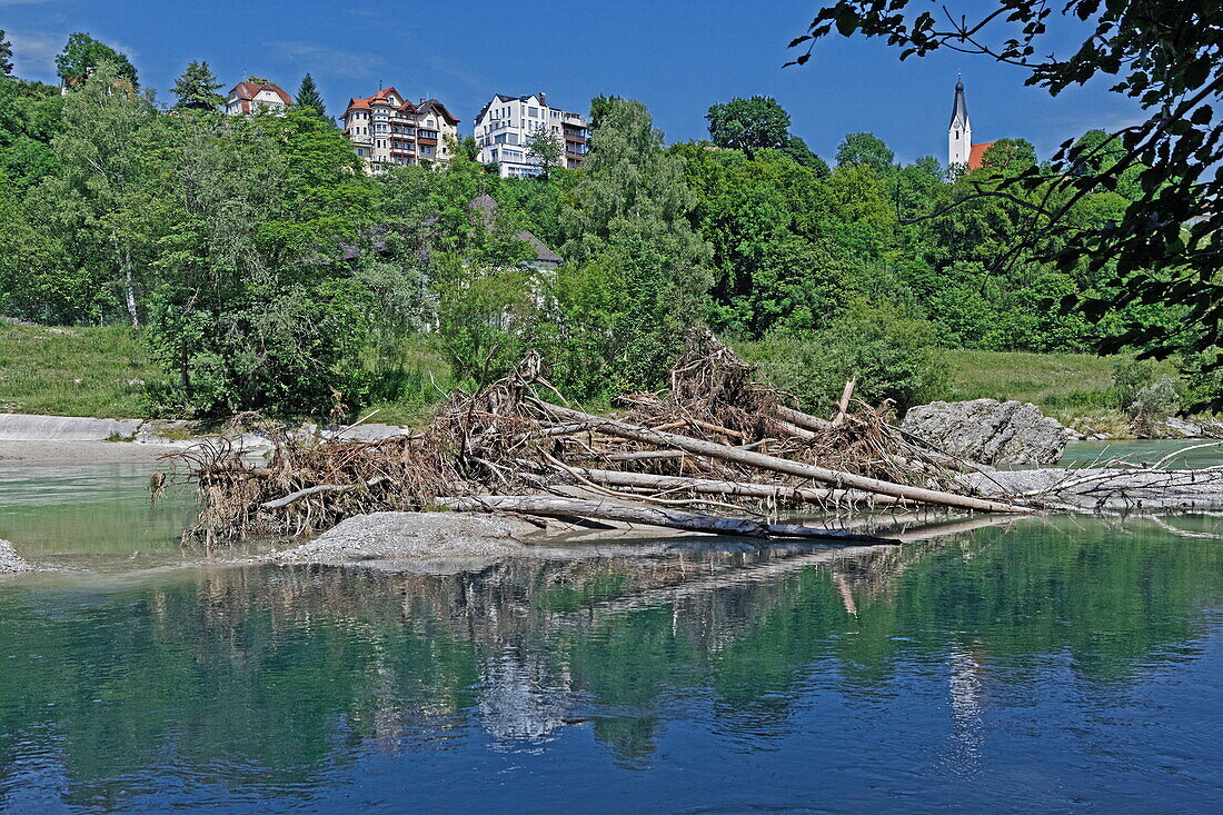 Treibholzinseln auf der Isar, Pullach, München, Oberbayern, Bayern, Deutschland