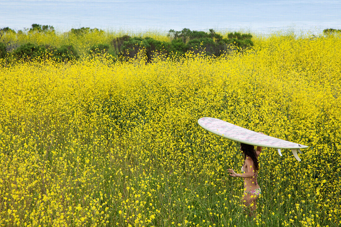 Young woman with a surfboard on her head walking to the beach through a field of yellow flowers Coleta, California, USA