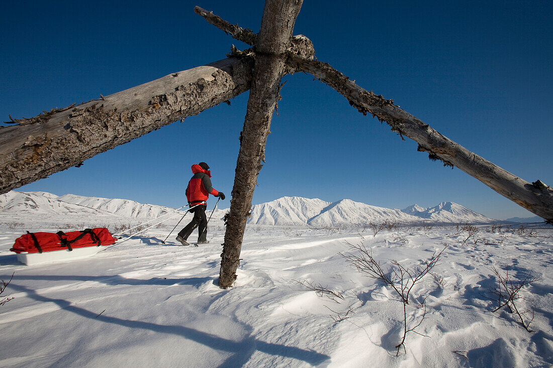 A woman hiking through a snowy, mountainous landscape pulling a sled Alaska, USA