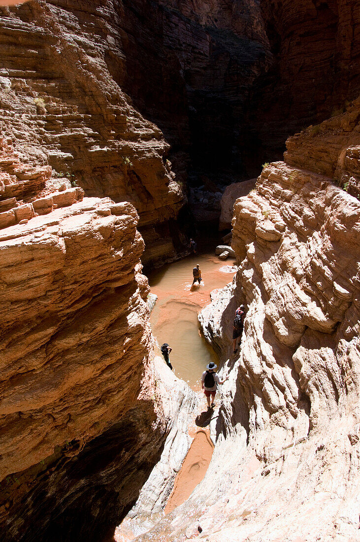 Hikers walk through the narrow canyon along the Colorado River in the Grand Canyon Grand Canyon, Arizona, USA