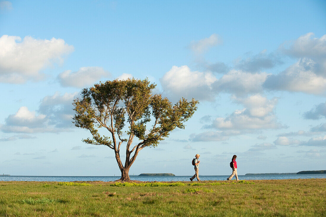 A couple hikes in Everglades National Park, Florida Florida, USA