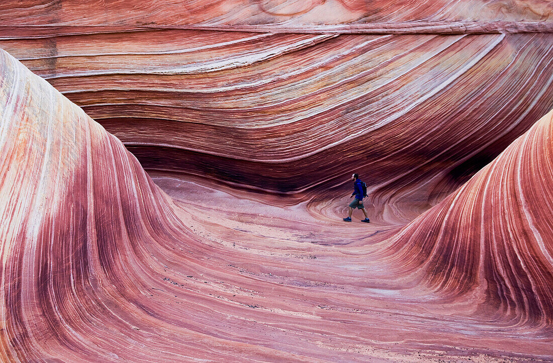 A young man hikes along a trail through The Wave in Vermillion Cliffs, Utah Vermillion Cliffs, Utah, USA