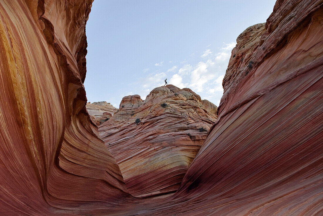 A young man walks on top of The Wave located in Vermillion Cliffs, Utah Vermillion Cliffs, Utah, USA