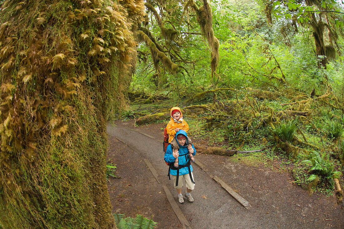 A daughter riding on her mother's shoulders while backpacking in a rainforest, Olympic National Forest, Hoh, Washington Hoh, Washington, USA