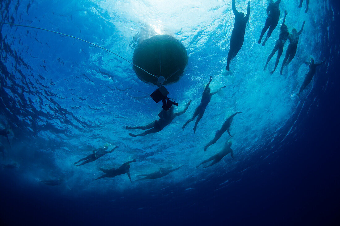 Underwater view of swimmers rounding a bouy during an annual ocean swimming race in the tropical waters off of Mana Island, Fiji Mana Island, Fiji