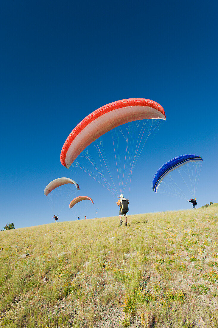 A paraglider finds the wind for a flight Jackson, Wyoming, USA