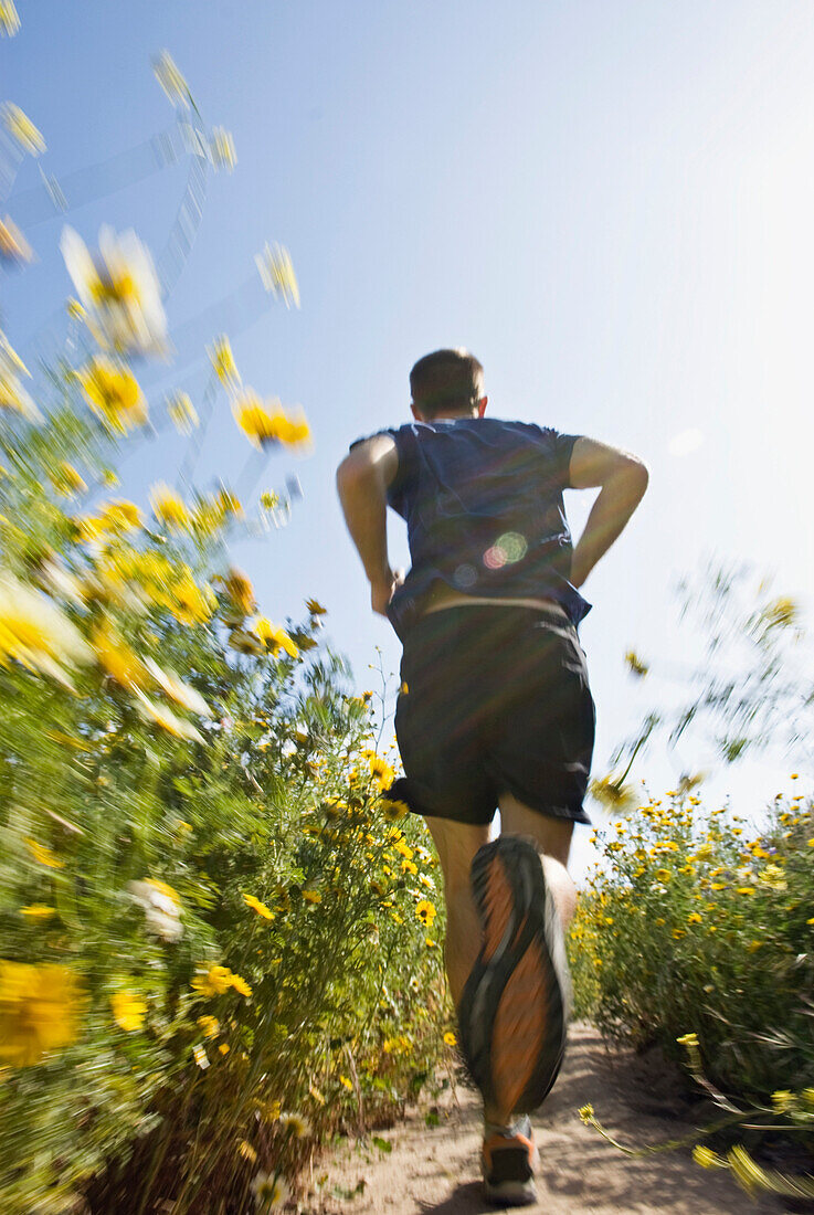 Lined by springtime flowers, a young man trail runs in the hills of Ventura, California Ventura, California, USA