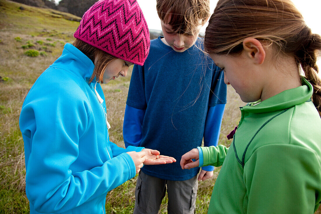Three kids examining a bug found while hiking White Salmon, Washington, USA