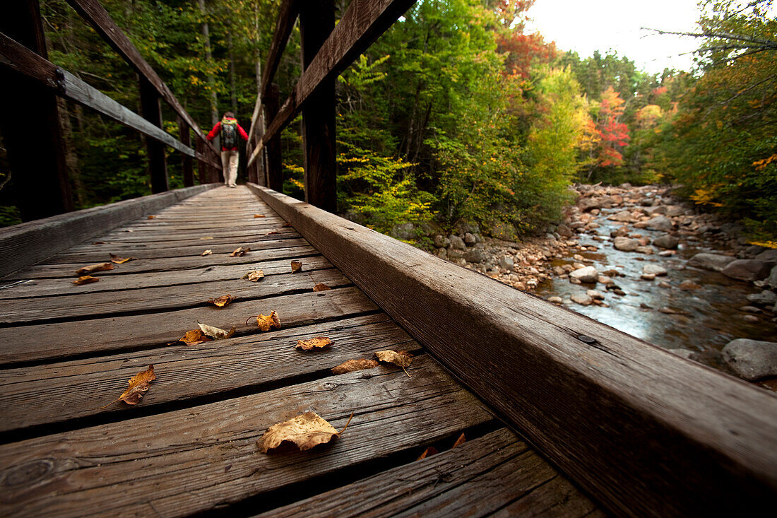 Low angle perspective of one man hiking across a wooden bridge with a stream and fall leaves in view Conway, New Hampshire, USA