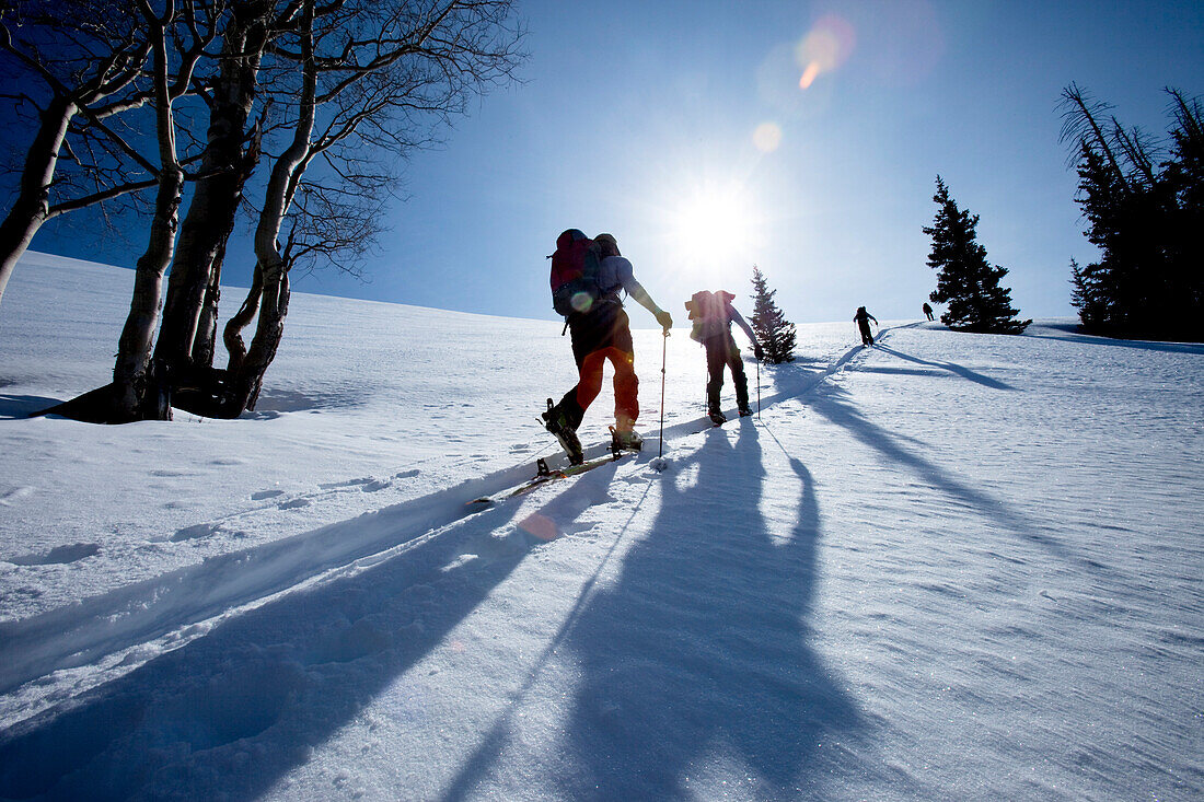 Low angle silhouette of four men backcountry ski touring Wendover, Nevada, USA