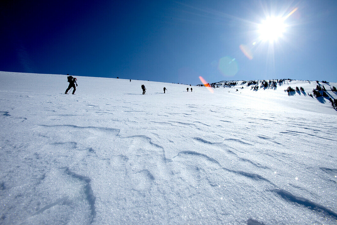 Silhouette of six men hiking / backcountry touring on a blue sky day Wendover, Nevada, USA