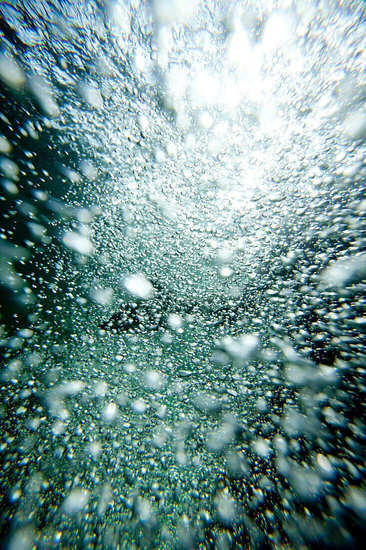Water bubbles in Idaho Sandpoint, Idaho, USA