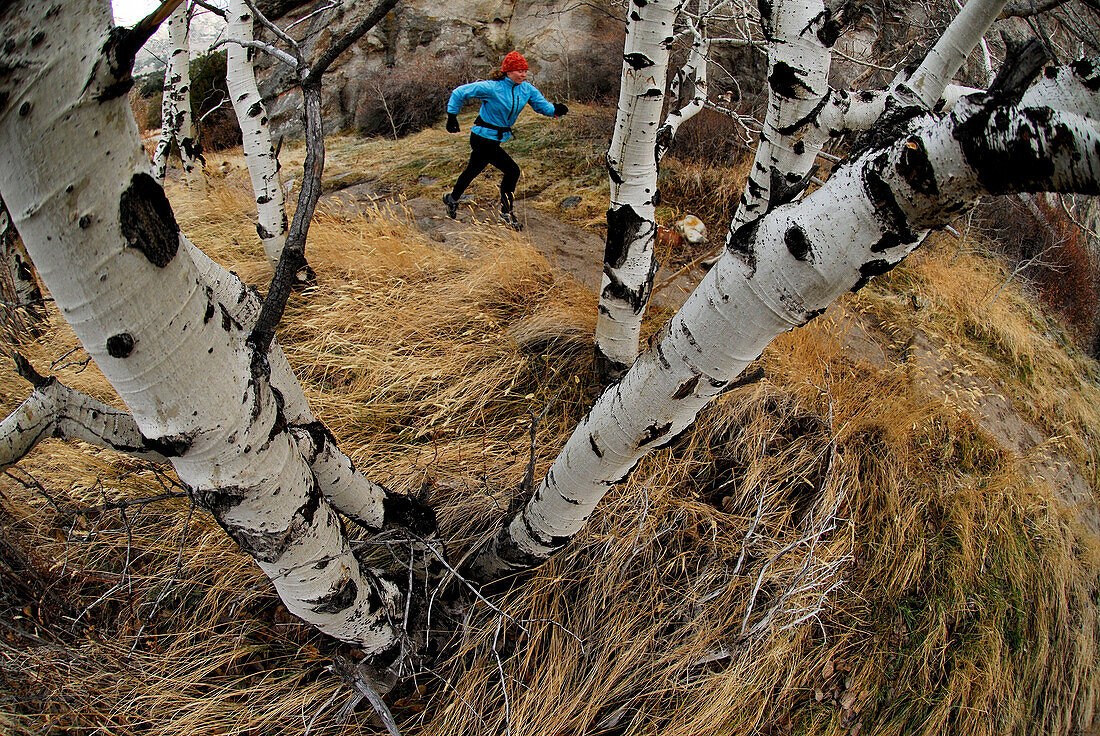 A woman trail running near birch trees City of Rocks, Idaho, USA