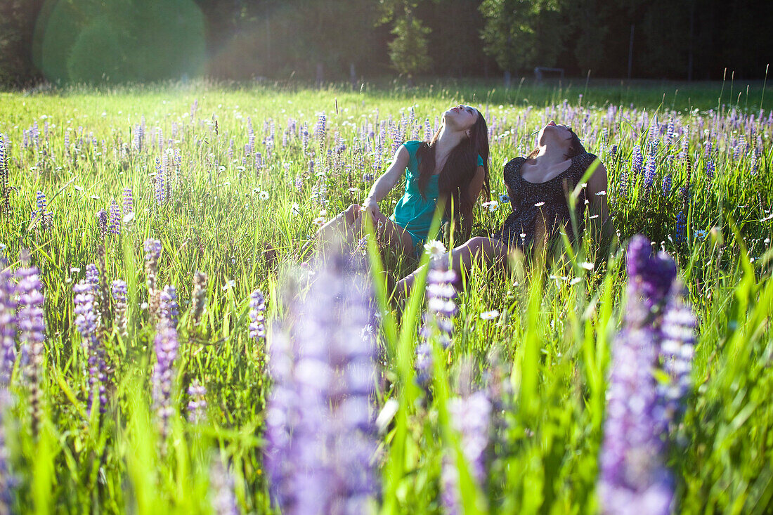 Two young women sit in a huge field of wildflowers at sunset Sandpoint, Idaho, USA