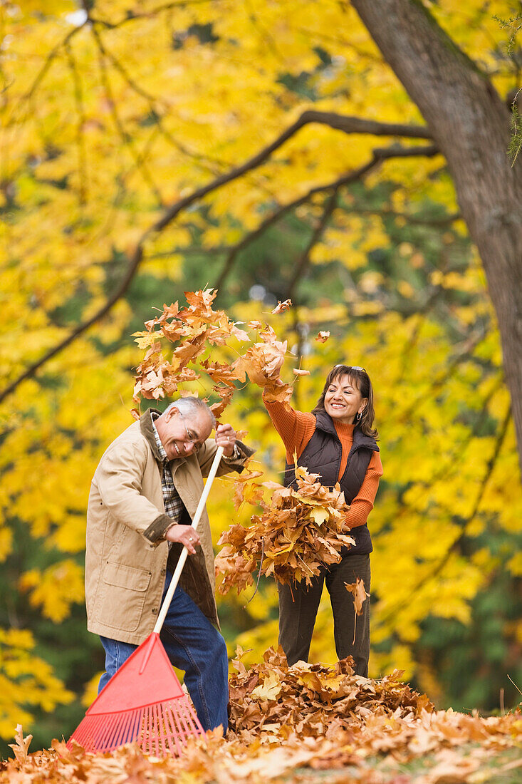 Hispanisches Paar spielt mit Herbstblättern, Seattle, WA