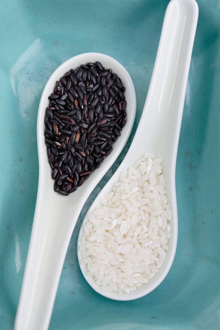 Black and white rice on spoons, Santa Fe, New Mexico, United States