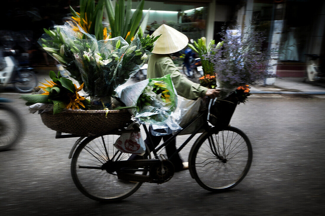 Vietnamese person carrying flowers on bicycle, Hanoi, Vietnam