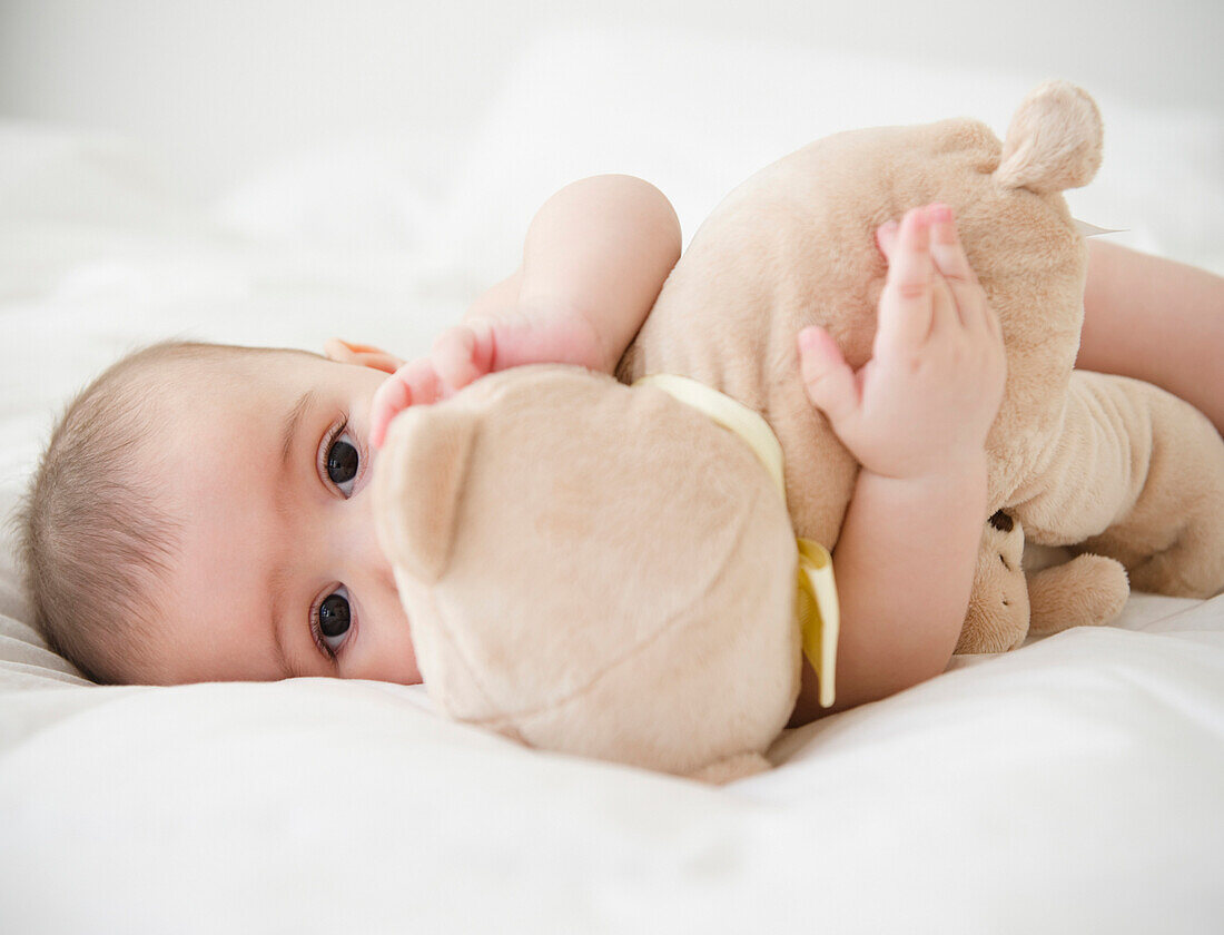 Mixed race baby laying on bed with teddy bear, Jersey City, New Jersey, USA