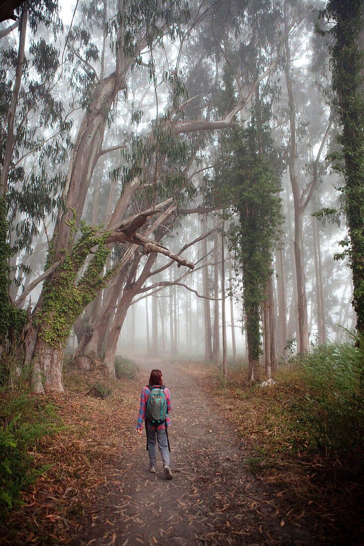 Korean woman in backpack walking in forest path, Bolinas, CA, USA