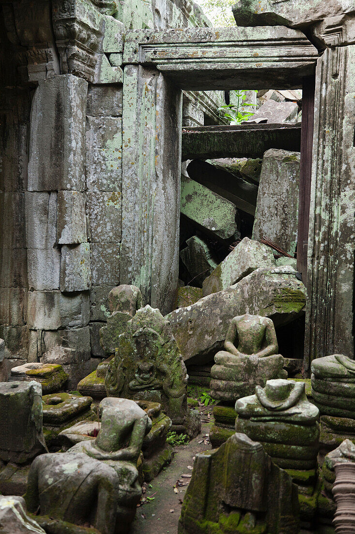 Ruins in Ta Prohm temple, Angkor, Siem Reap, Cambodia