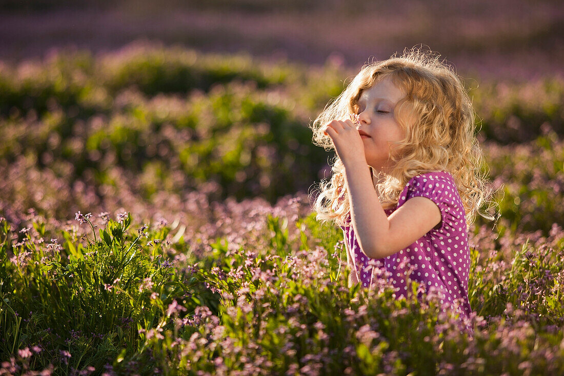 Caucasian girl smelling flowers, Lehi, Utah, USA